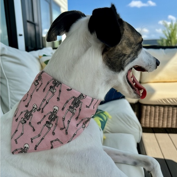 Reversible Scrunchi Black Pink Pumpkin & Skeletons Dog Bandanas - Picture 5 of 5